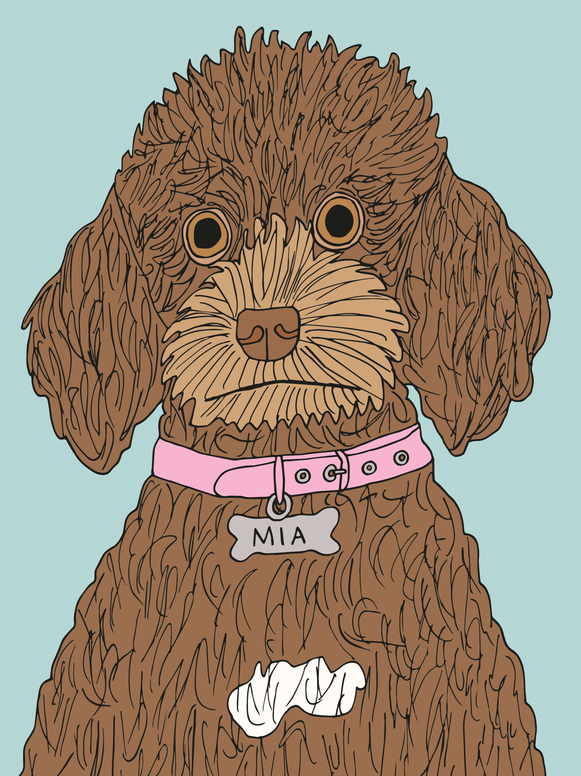petportraitmia